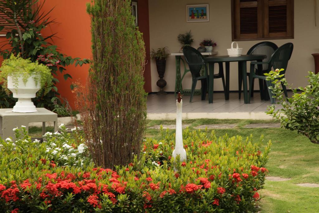 Jardim
