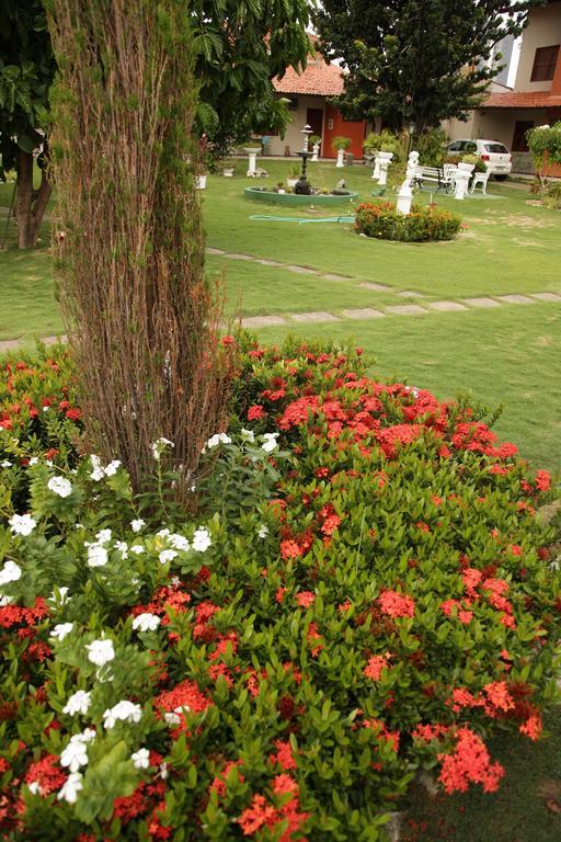 Jardim